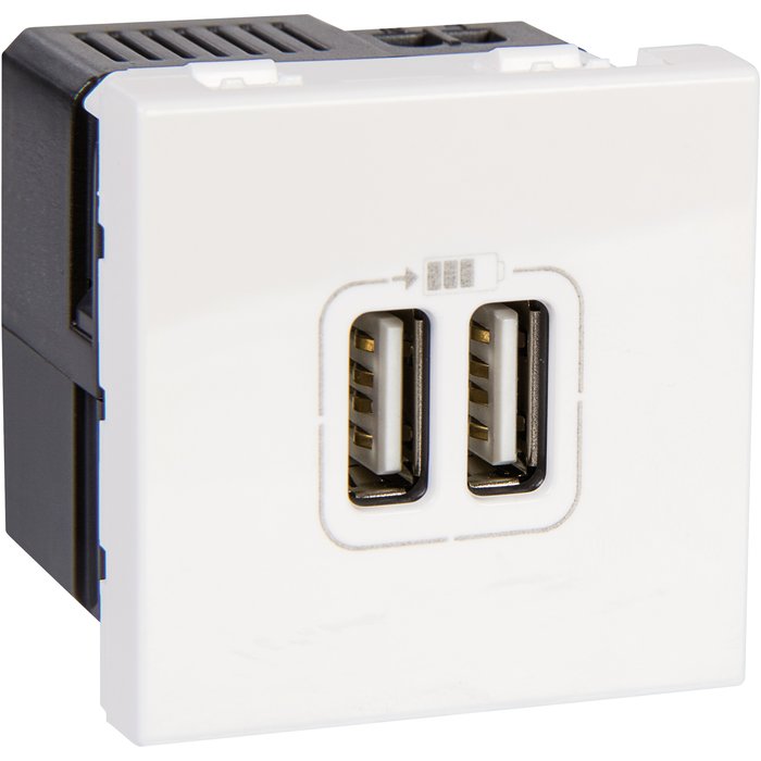 Module de charge 2 usb type a mosaic - blanc - 2400 ma. disponible abidjan cote d'ivoire.