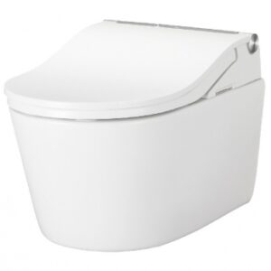 Abattant rw pour washlet rp. disponible abidjan cote d'ivoire.