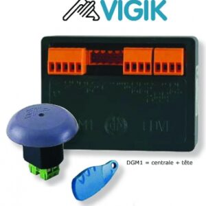 Centrale vigik dgm 1 porte 1 tête. disponible abidjan cote d'ivoire.