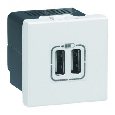 Chargeur 2 usb type-a 2,4a 12w mosaic 2 modules 230v ou 5v= - blanc. disponible abidjan cote d'ivoire.