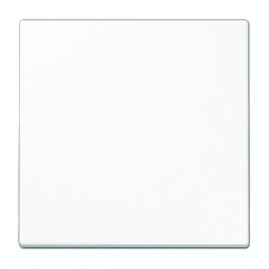 Enjoliveur simple touche blanc. disponible abidjan cote d'ivoire.