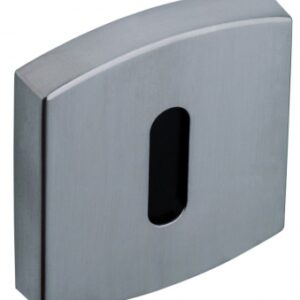 Jeu de 2 rosaces de fonction - finition platine - clé l​ ​​ ​. disponible abidjan cote d'ivoire.