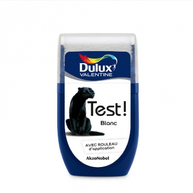 Peinture test! - crème de couleur - testeur 30 ml - anthracite. disponible abidjan cote d'ivoire.