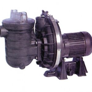 Pompe sta-rite 3/4cv m 12m3/h. disponible abidjan cote d'ivoire.
