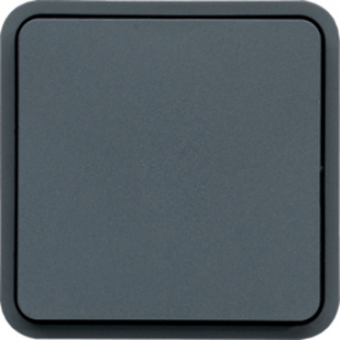 Poussoir simple 1o 10a 250 v coloris gris. disponible abidjan cote d'ivoire.