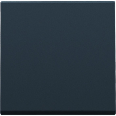 Set de finition pour interrupteur électronique ou bouton-poussoir, anthracite. disponible abidjan cote d'ivoire.